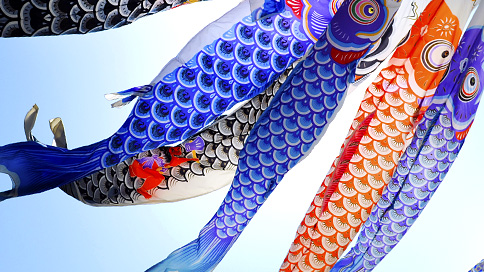 doga 動画トピック 端午の節句